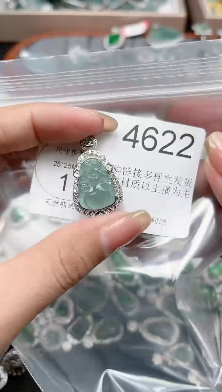 【闪购商品】翡翠颈饰未镶嵌【赠皮绳】4622