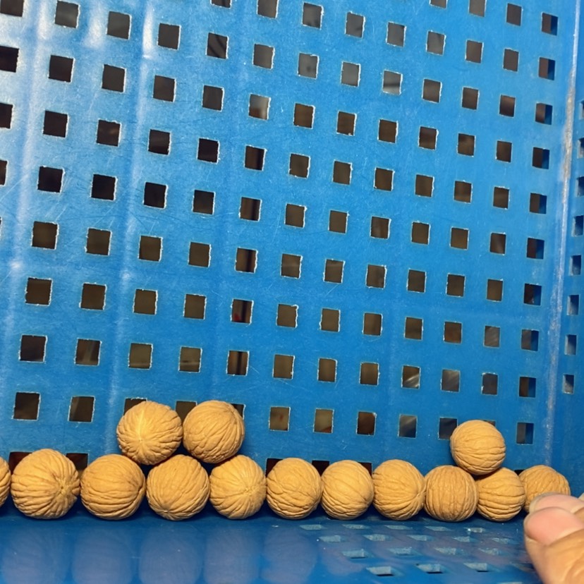 【闪购商品】猴头核桃吊坠氯*氢凤羽1.62尺寸16颗打孔