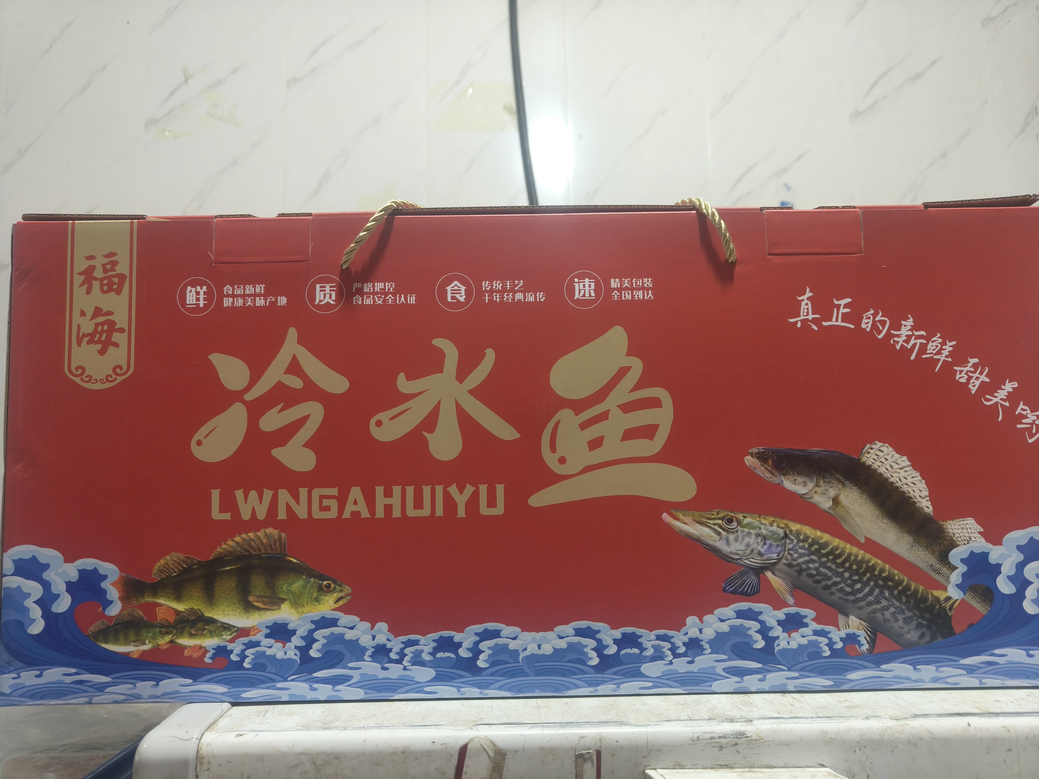 阿勒泰福海冷水鱼鲜鱼5种鱼海鲜礼盒大礼包新疆鲜活囤年货超值