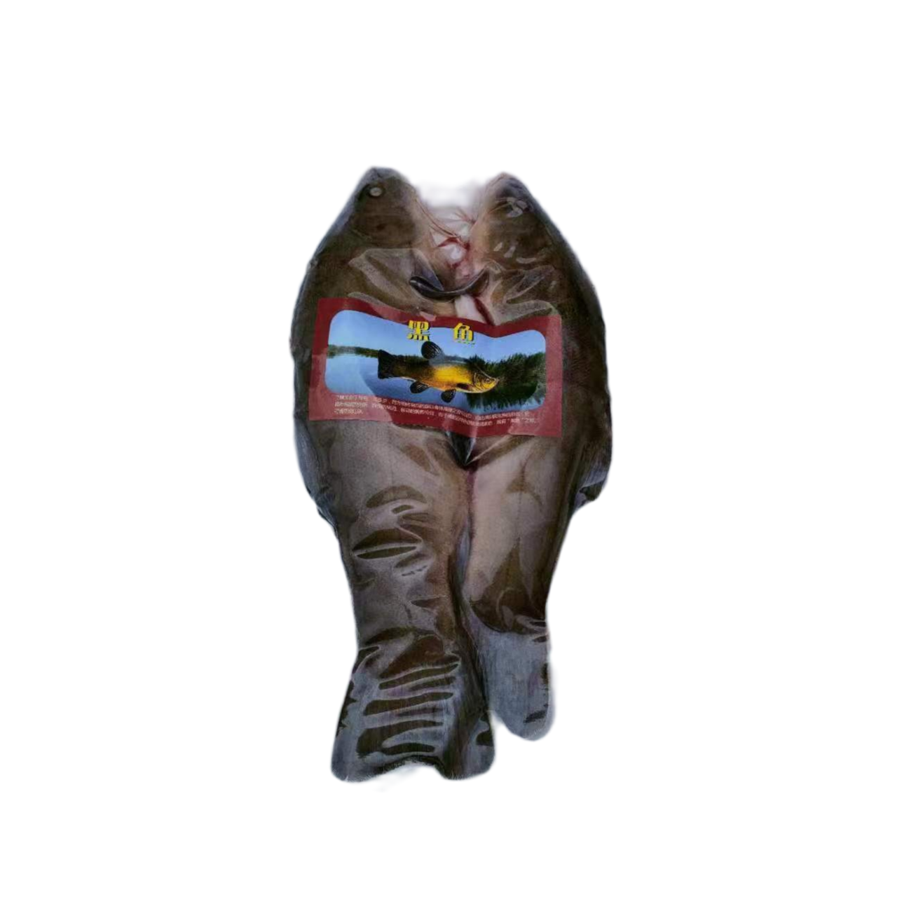 新疆特产冷水鱼黑鱼（丁鲑）2公斤