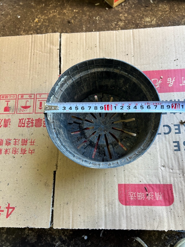 塑料 旧花盆 矮泡盆 口径17厘米 20个发