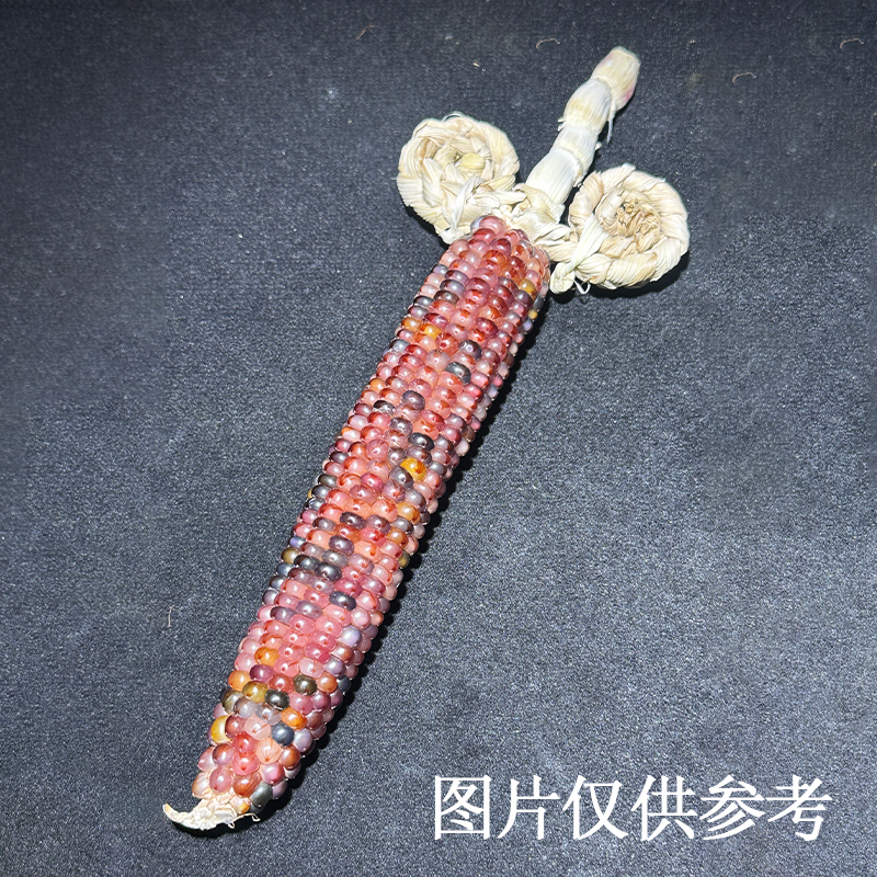 晓柒文玩玉米，精品手把件