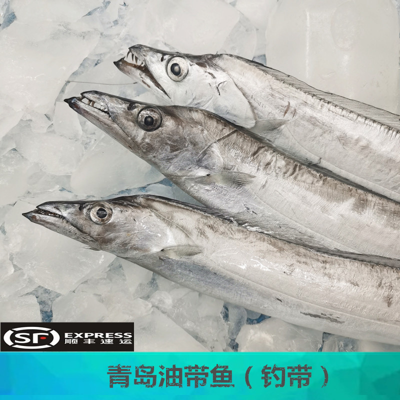 【刀鱼】 青岛本地小眼油带鱼 4斤 积米崖码头当日鲜鱼码头直发