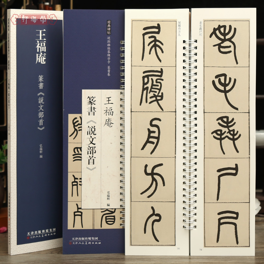 学海轩王福庵篆书说文部首近距离临摹练字卡篆书卷原色原帖繁体旁