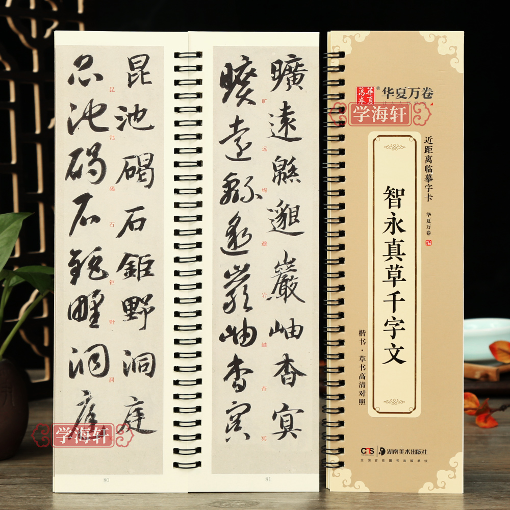 智永真草千字文全文近临字卡放大版楷书草书对照本书法毛笔字帖