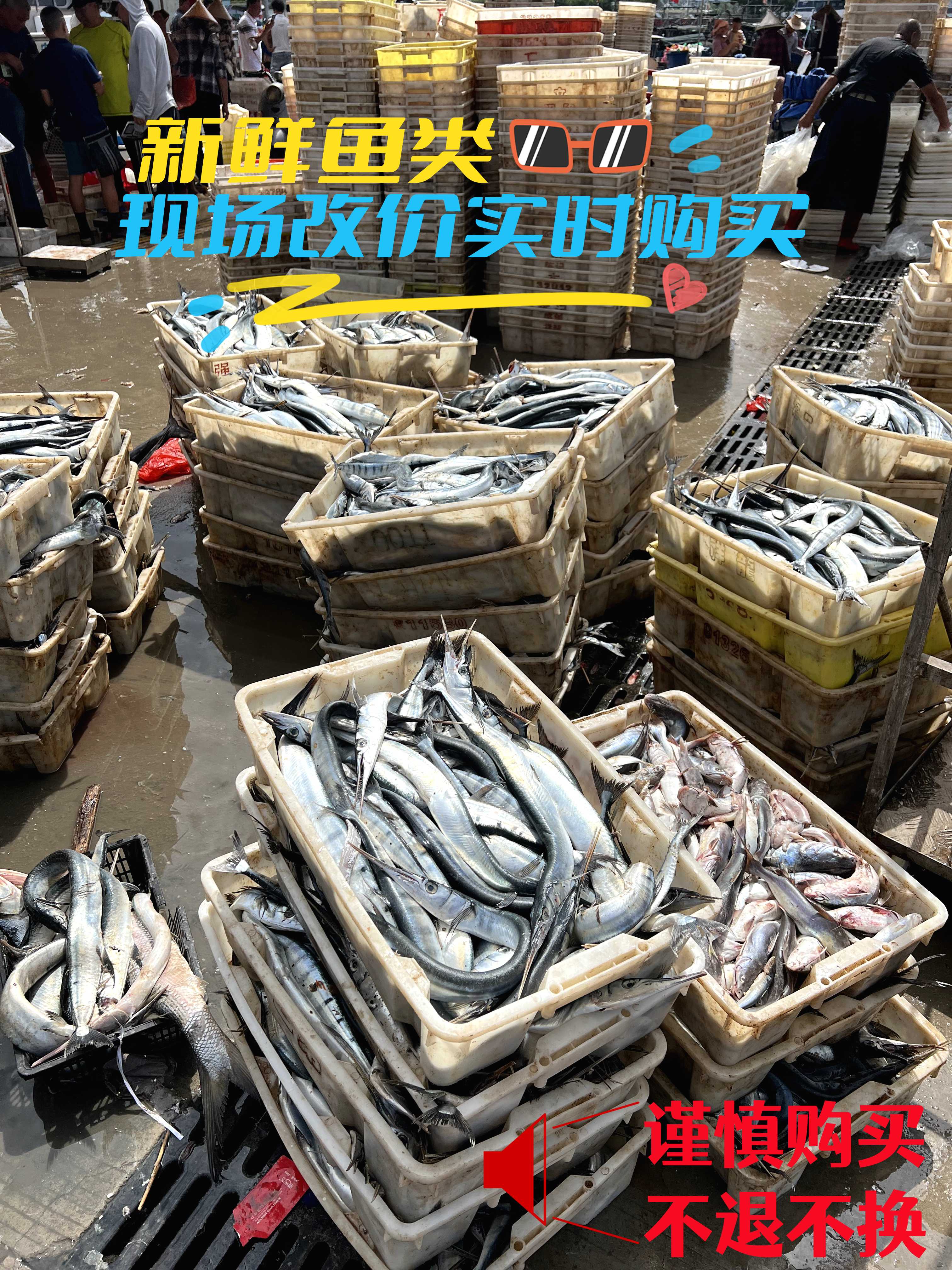 码头代买，现买现称，实时改价—鱼类