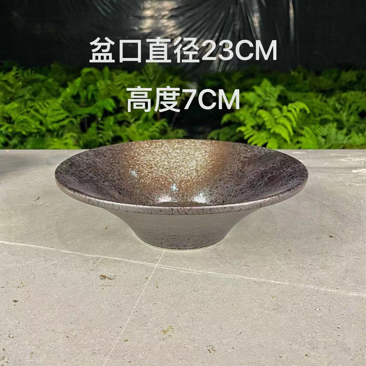 水培盆器 蕨类植物意境敞口花色无孔盆器