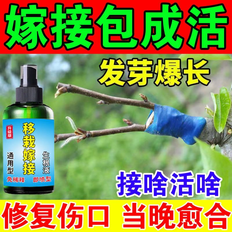 【果树嫁接】当晚出芽植物盆景花卉伤口愈合剂防护愈合剂树木嫁接