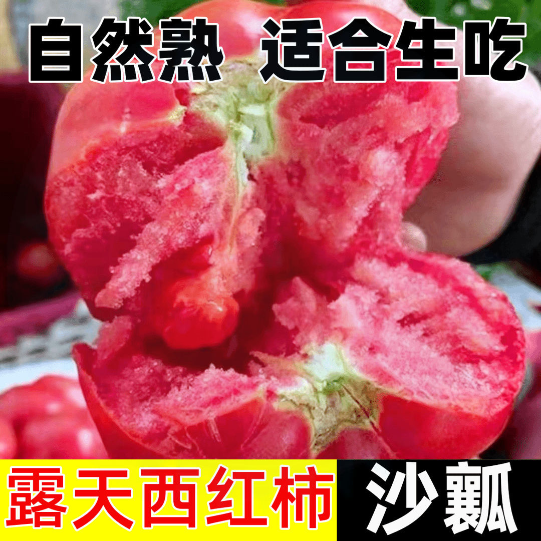 露天西红柿纯天然沙瓤番茄当季现摘自然熟酸甜多汁产地直发老品种