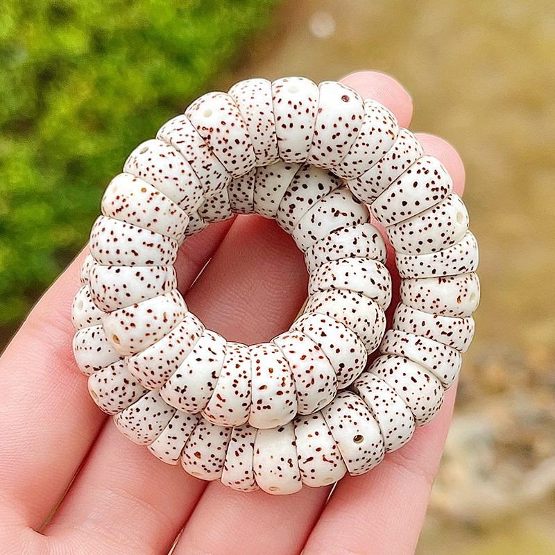 原生态星月菩提肥肠猪大肠单圈手串文玩柔指柔斜切盘玩108颗佛珠