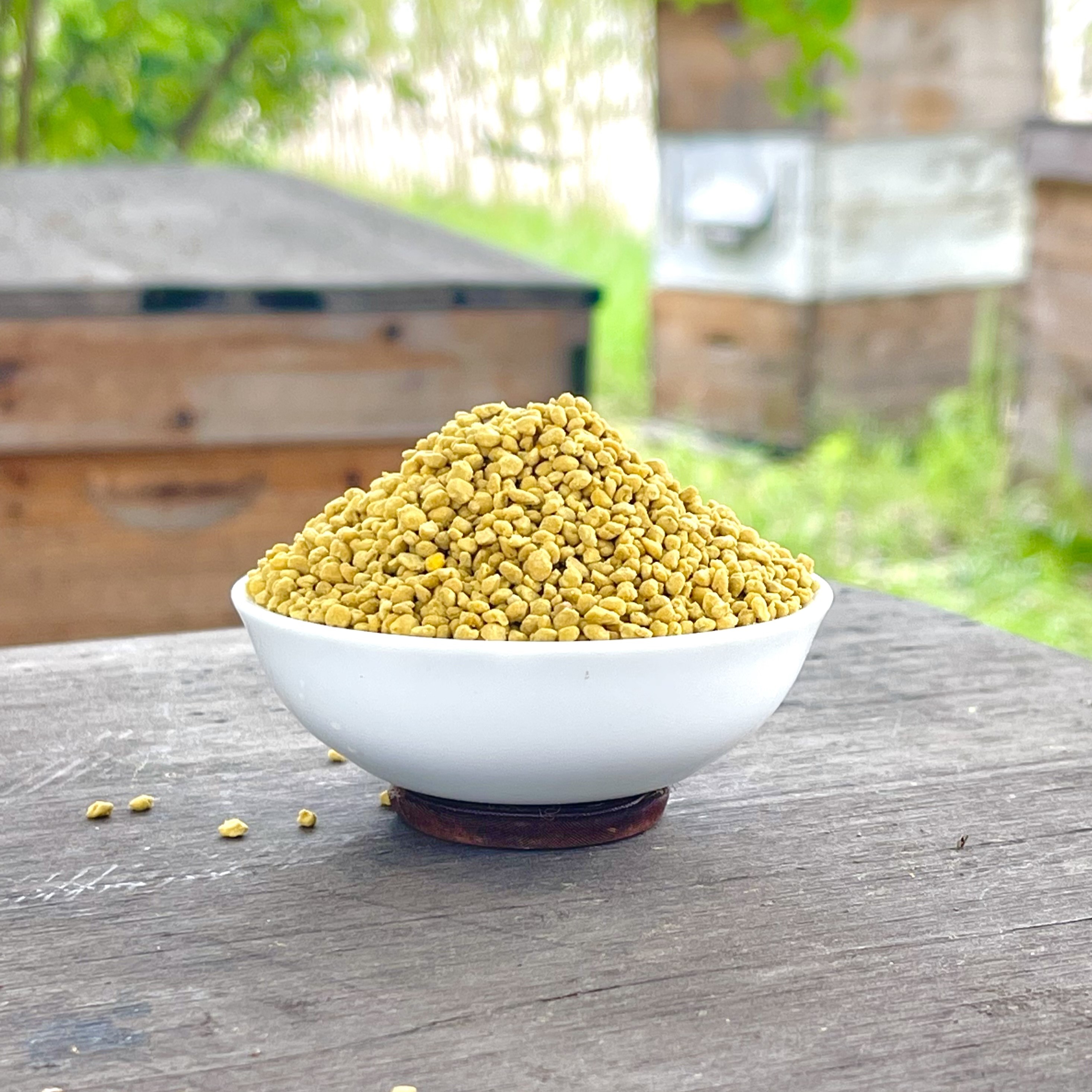 冷链干燥没有灰尘的油菜花粉颗颗饱满一斤装营养不流失