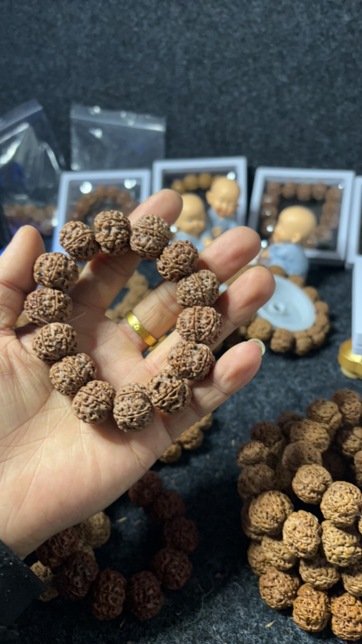 六瓣2.0原生态大金刚