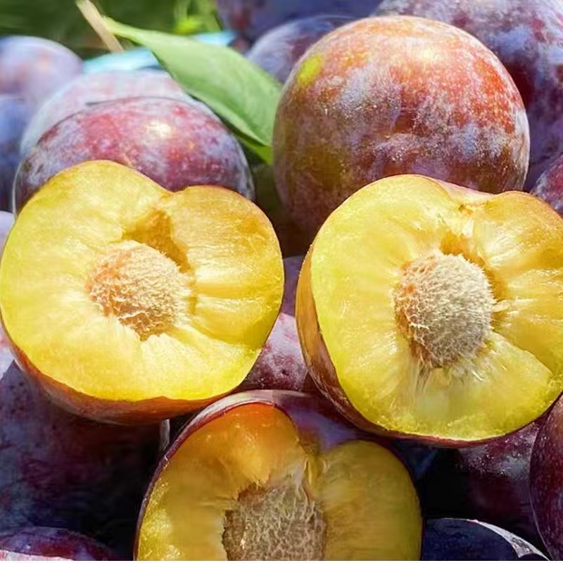 陕西黑红布林黑宝石李子5斤9斤代发包邮恐龙蛋鲜鲜孕妇水果整箱批