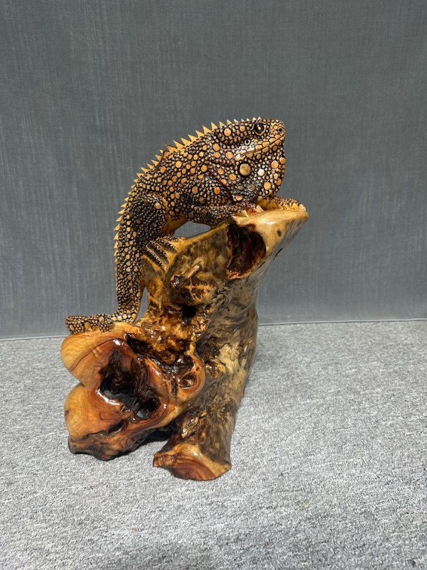 #蜥蜴#香樟木#根雕工艺品#实木原木#家居摆件#公司摆件#无拼无接