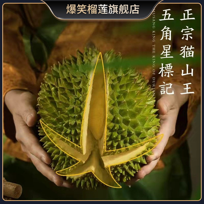 正宗马来西亚猫山王榴莲D197整个带壳树上自然熟液氮冷冻进口水果