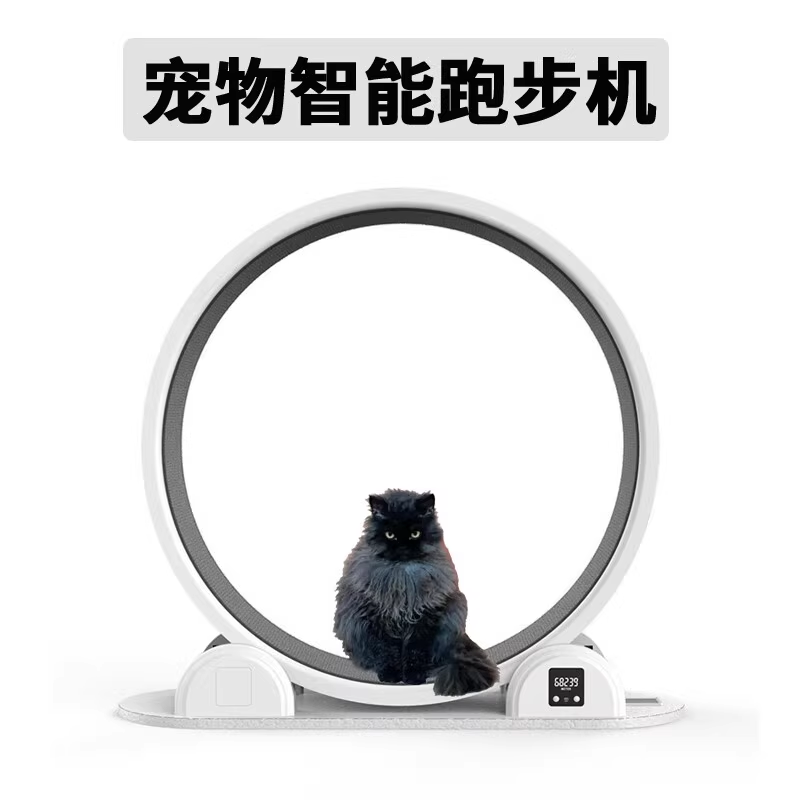 四脚花蹄猫咪跑步机可计米数超大滚轮缅因猫布偶猫抓板爬架猫玩具