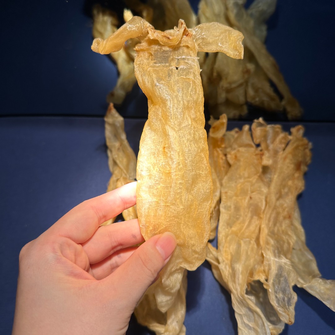 北海大耳 大耳金钱 26头 野 鱼胶花胶