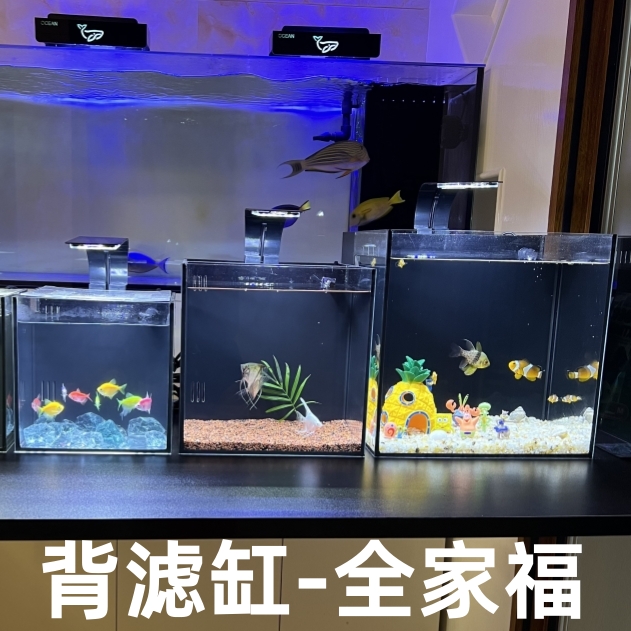 【背滤鱼缸】海缸金晶超白海水缸黑胶黑背珊瑚缸桌面背滤办公室小缸