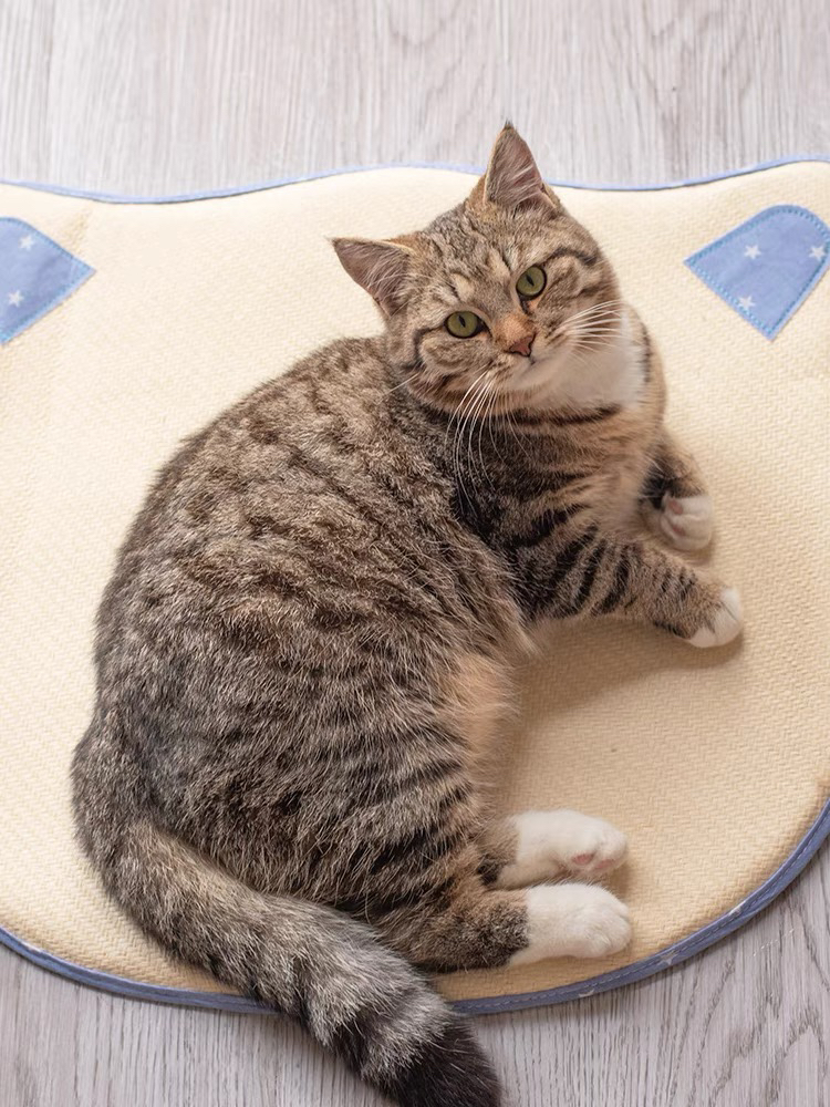 宠物凉席耐咬小狗狗冰垫夏季狗窝夏天睡垫凉垫垫子猫垫狗笼用品