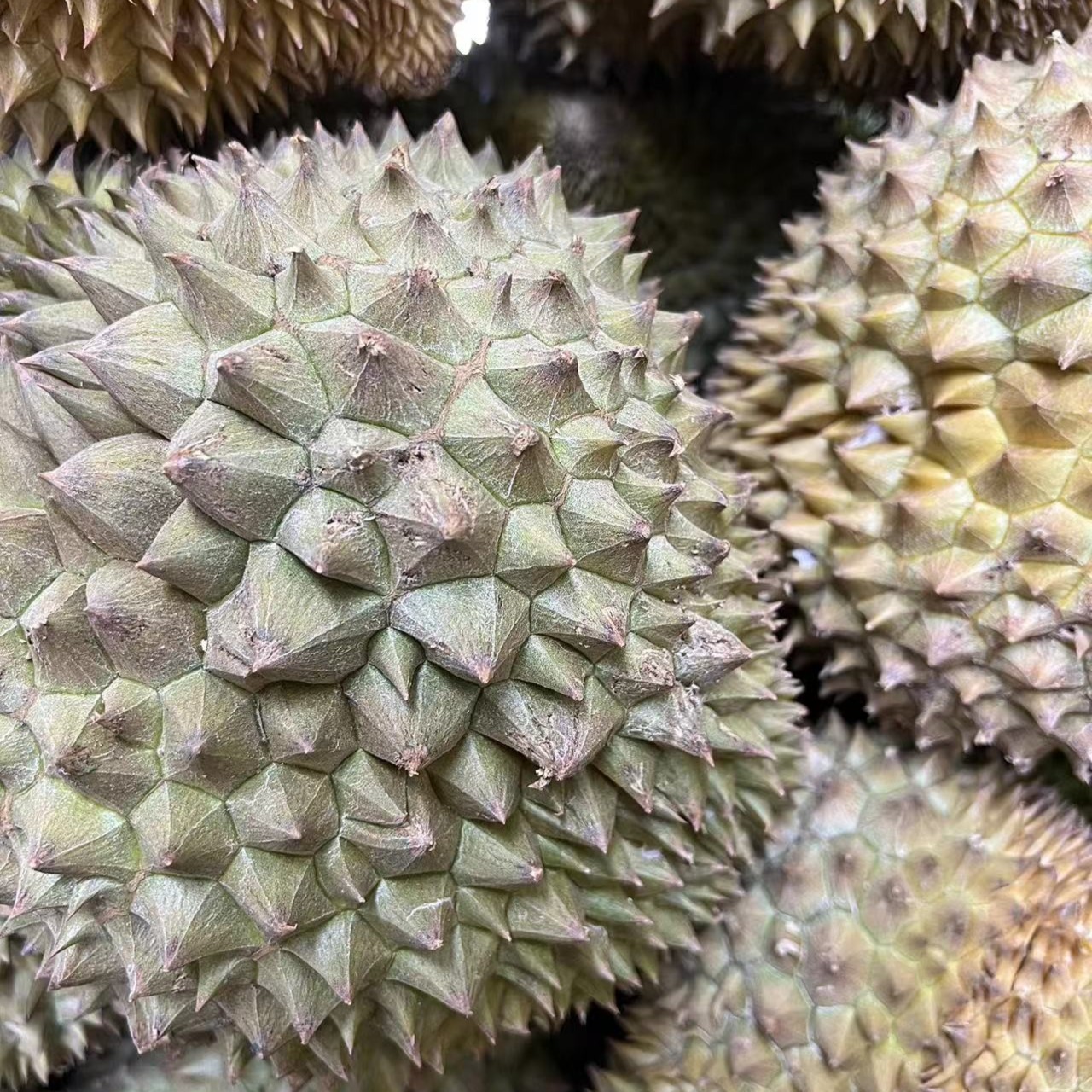 济南同城榴莲小时达树熟越南鲜榴莲核小（斤）金枕越南