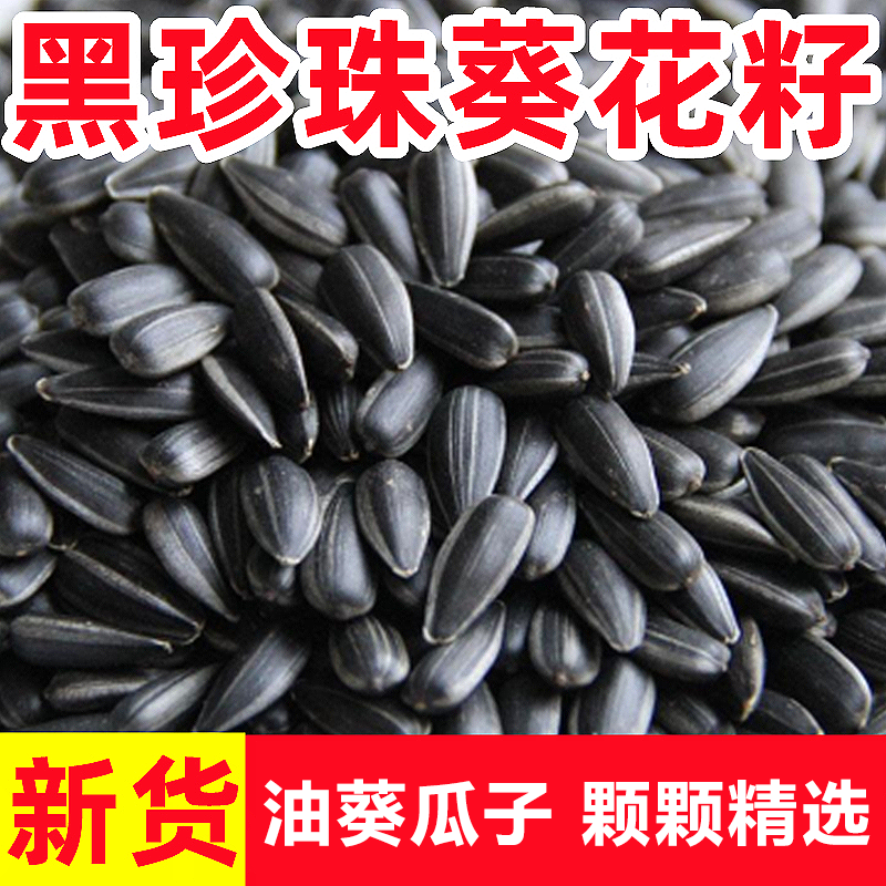 黑珍珠油葵内蒙油葵瓜子年货小瓜子炒熟奶油味生油葵瓜子饱满颗粒