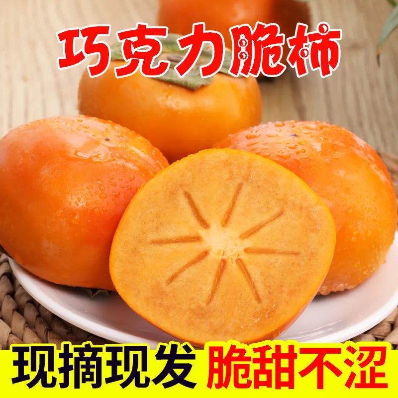 【现摘现发】正宗阳丰巧克力脆柿甜柿子彩箱发货纯甜