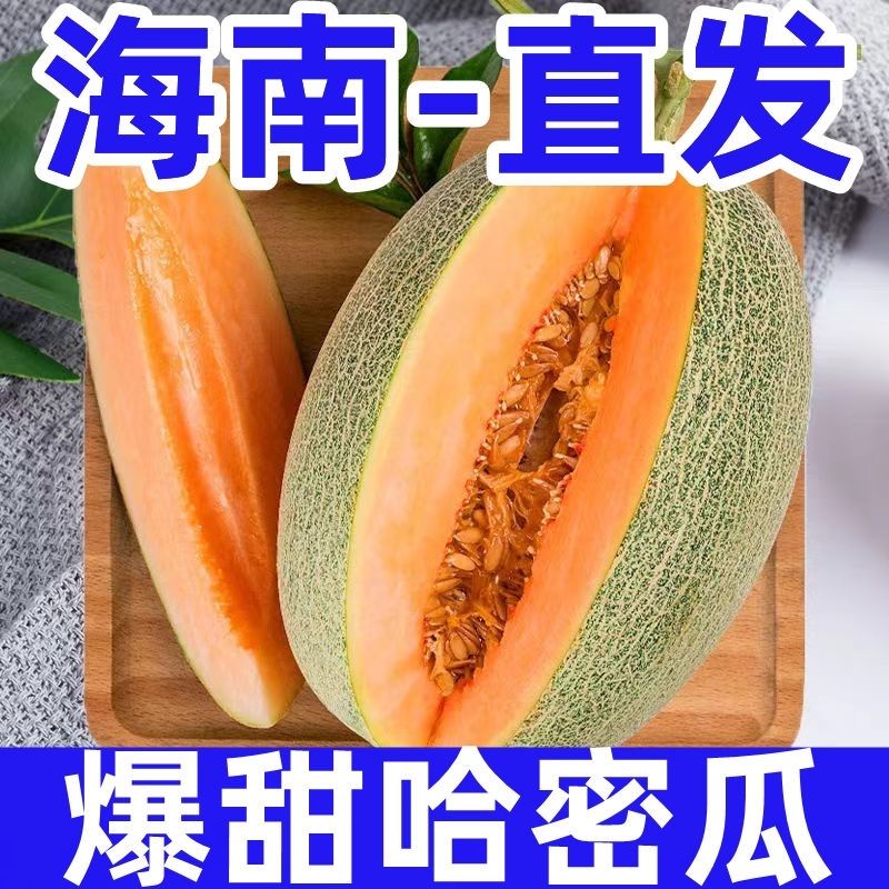 海南哈密瓜小蜜25号甜瓜西州蜜瓜新疆网纹瓜新鲜水果孕妇应当季