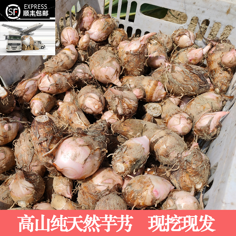 高山新鲜软糯芋艿毛芋5斤全国邮政包邮