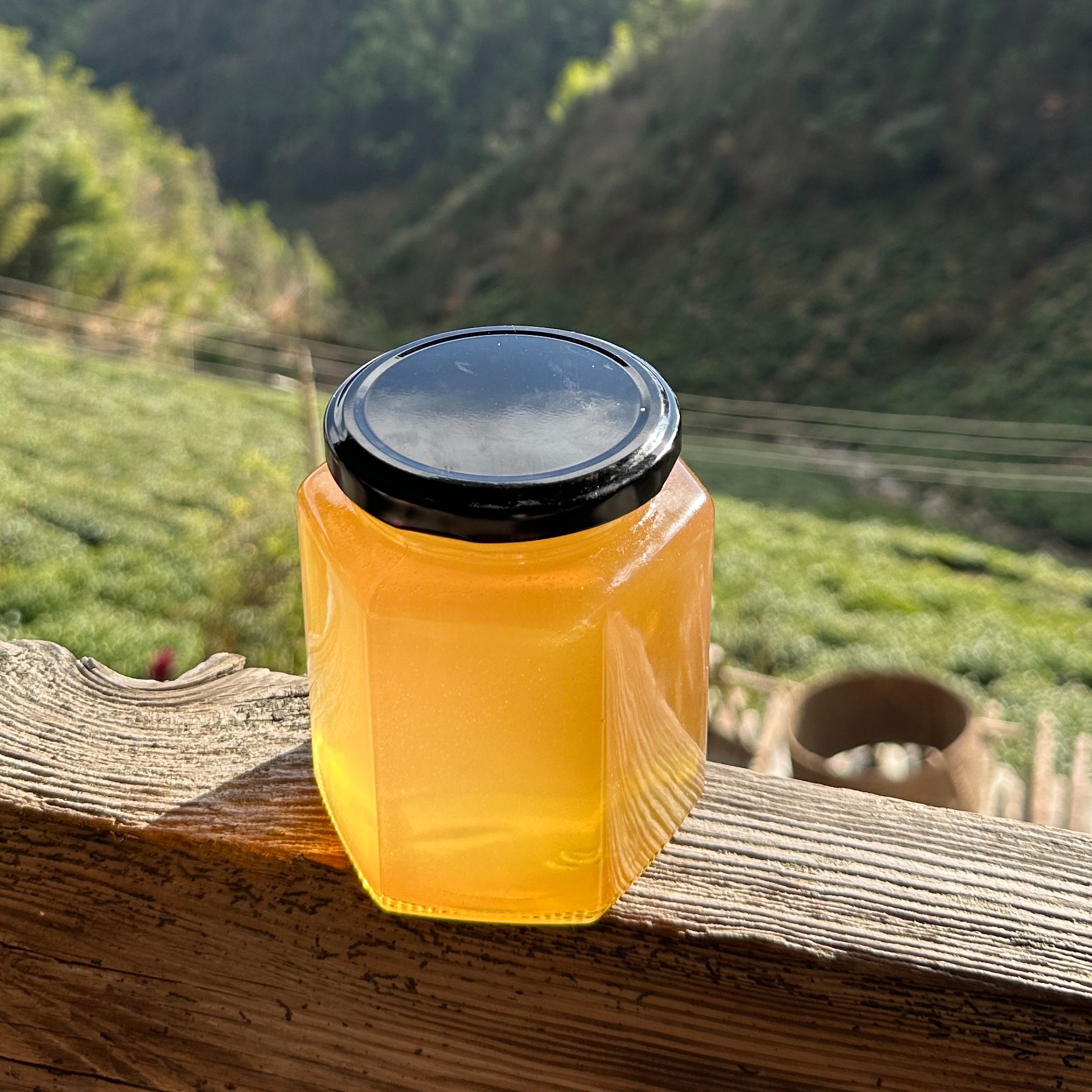 白玉枇杷蜜 换季很适合 冬蜜 农家自产蜂蜜500g