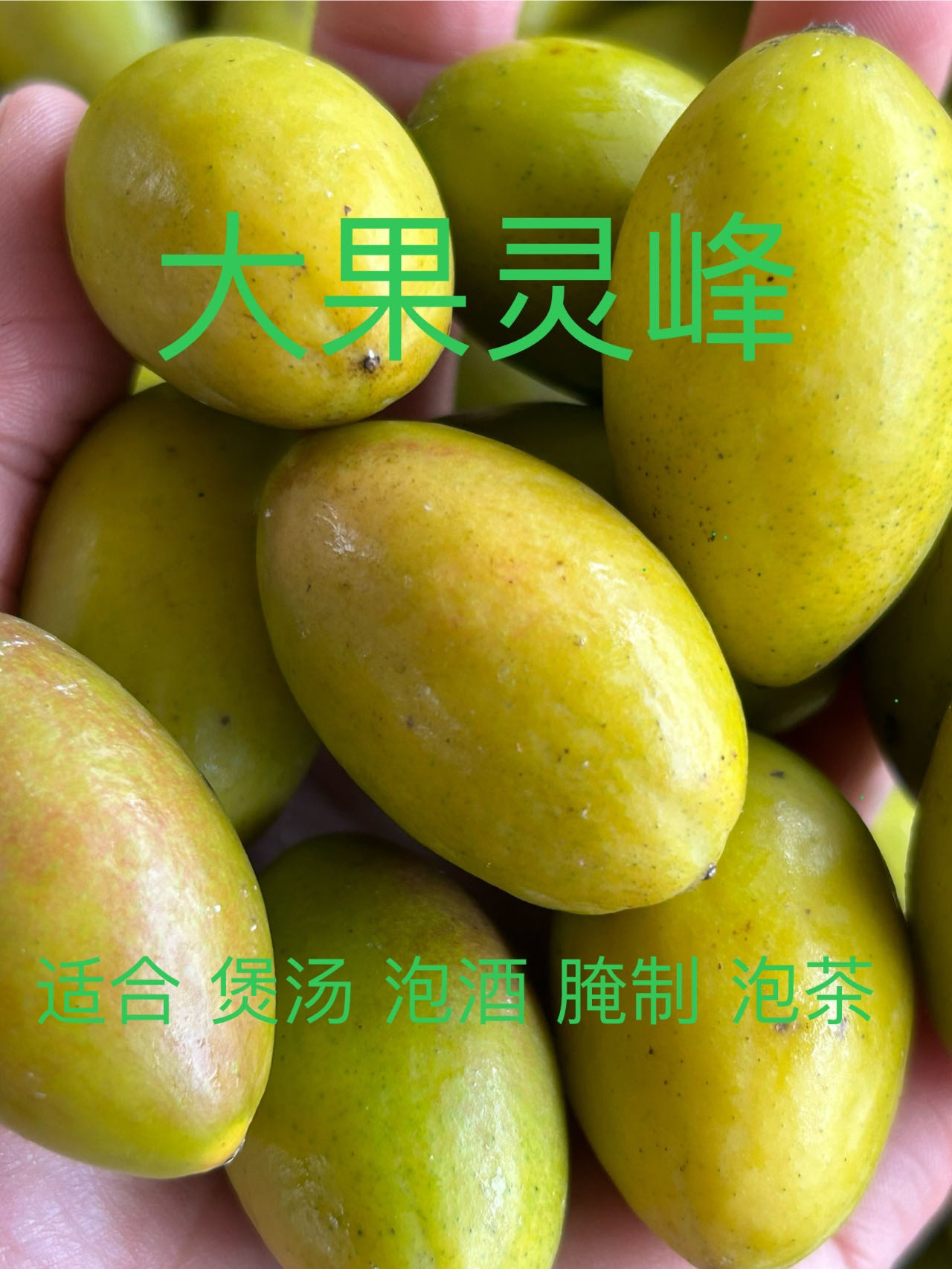 闽清特产甘甜大果灵峰橄榄新鲜采摘煲汤泡酒腌制大果灵峰橄榄家乡
