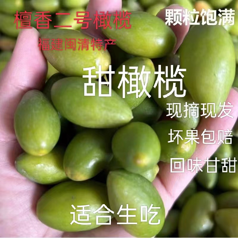 闽清檀香二号青枣脆新鲜甜橄榄颗粒饱满送礼佳品 适合生吃500g