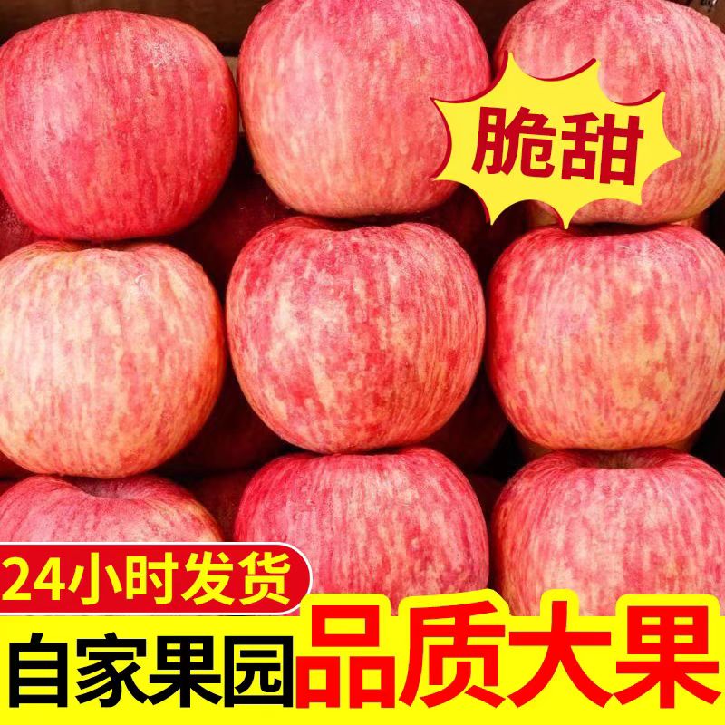大正宗的富士苹果新鲜当季现摘整箱包邮批发黄金奶油大号礼盒