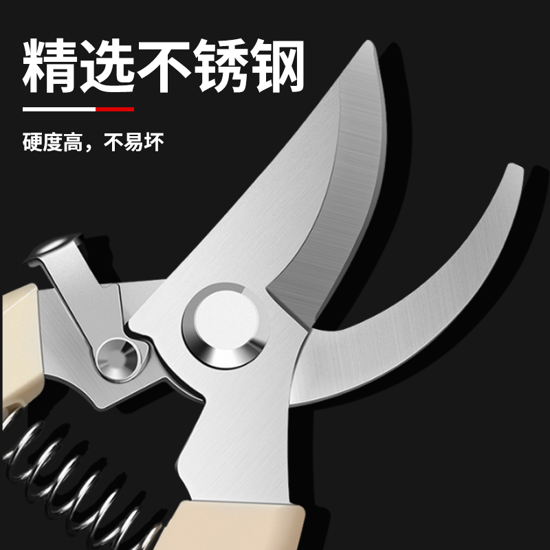 园艺修枝剪刀强力剪树枝剪刀专用花剪园丁剪嫁接强力采摘修水果树