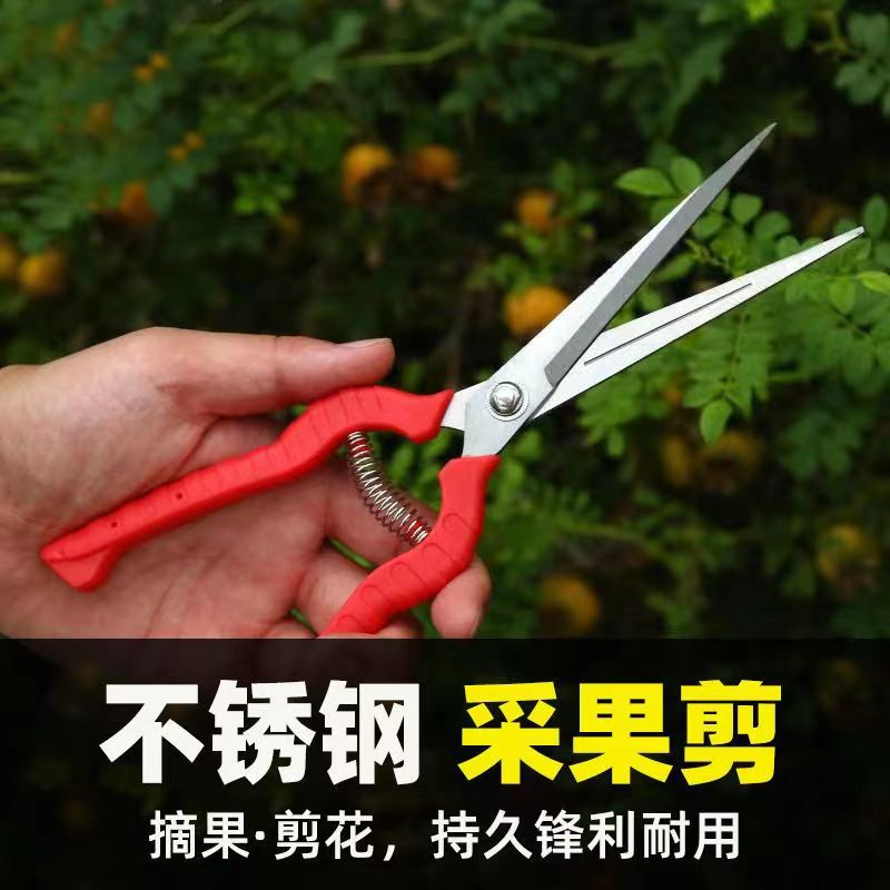 厂家现货不锈钢修枝剪刀葡萄剪蔬果剪摘果剪花艺剪稀果剪刀树枝剪