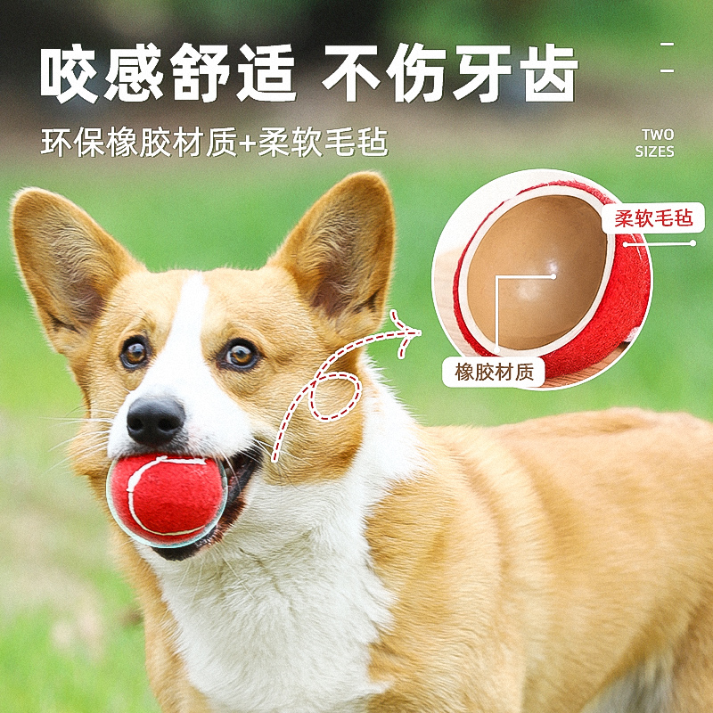 网球狗狗玩具球宠物球弹力球宠物球小狗玩具耐咬球狗狗球宠物用品