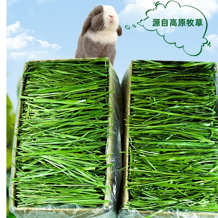 25年新草【箱装烘干提摩西草段】提摩西草特级兔子草荷兰猪主食 
