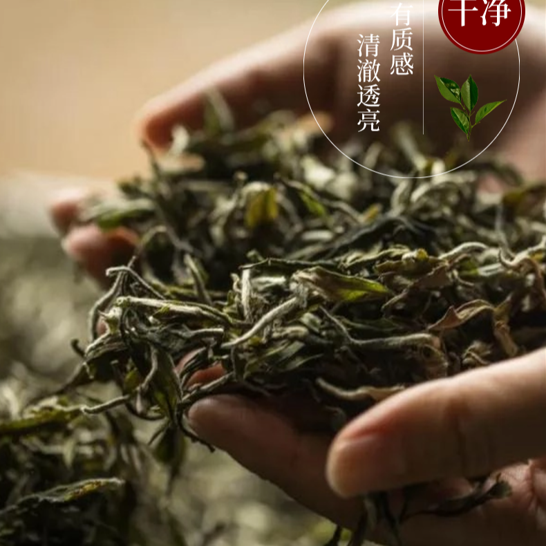 云深问客福字小方片普洱茶紧压茶