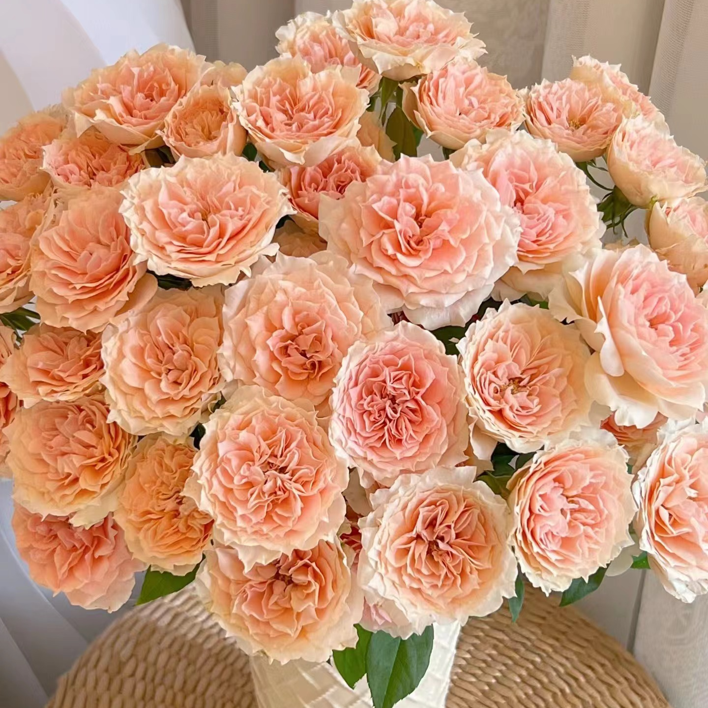 【杏色果汁多头玫瑰】任意2单鲜花包邮 发货后不支持退款q