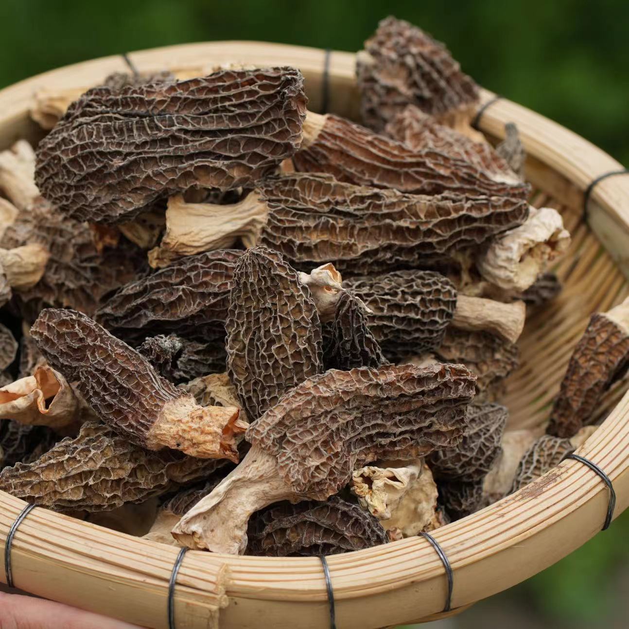 2025年高原羊肚菌之乡康定原产 自然晒干无硫 