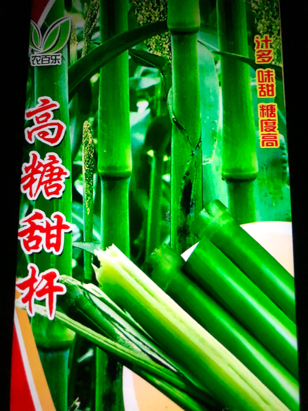 高糖甜杆种子送代叶菜