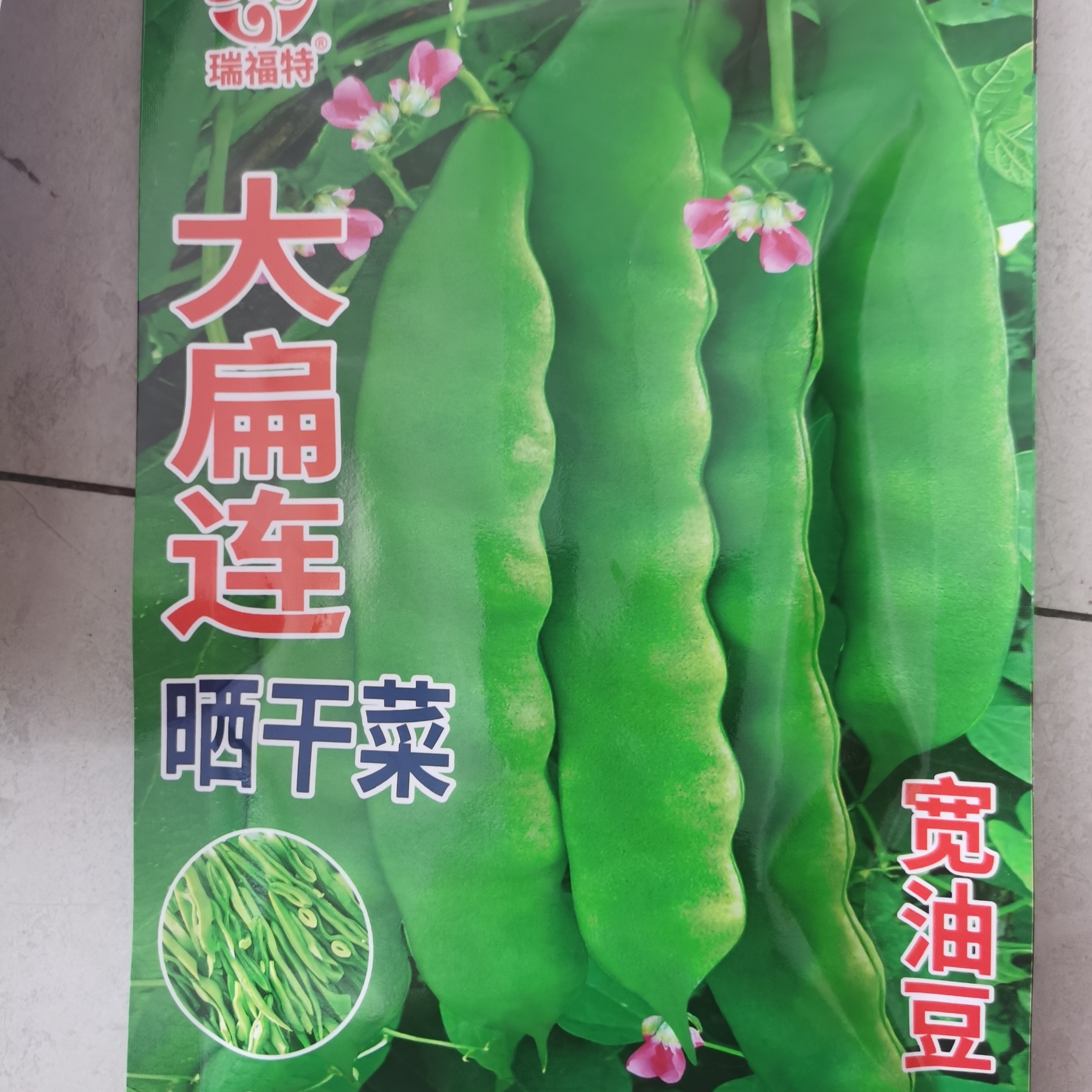 大扁连晒干菜豆角种子