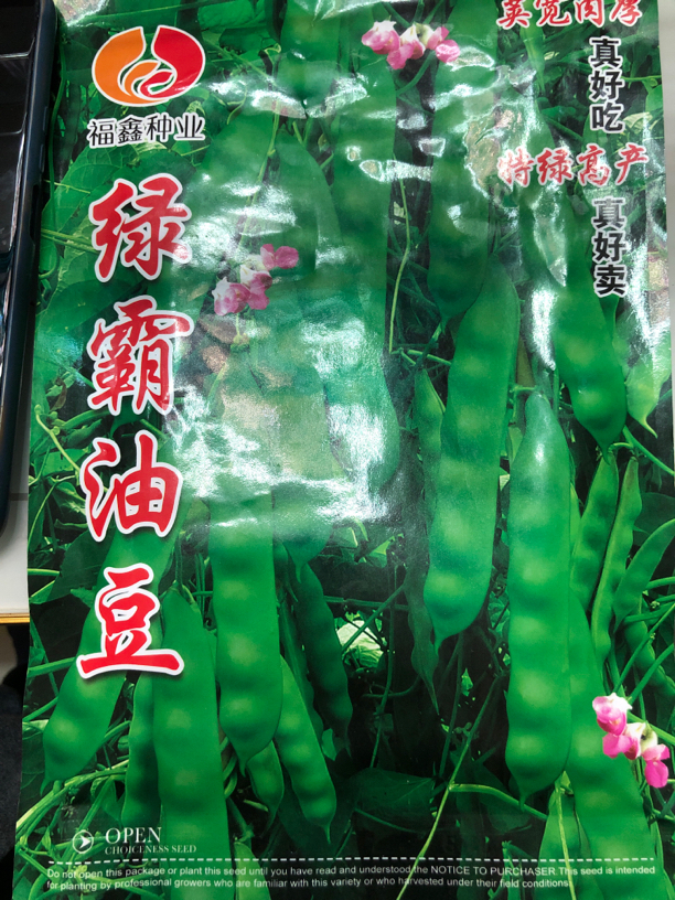 绿霸油豆豆角种子