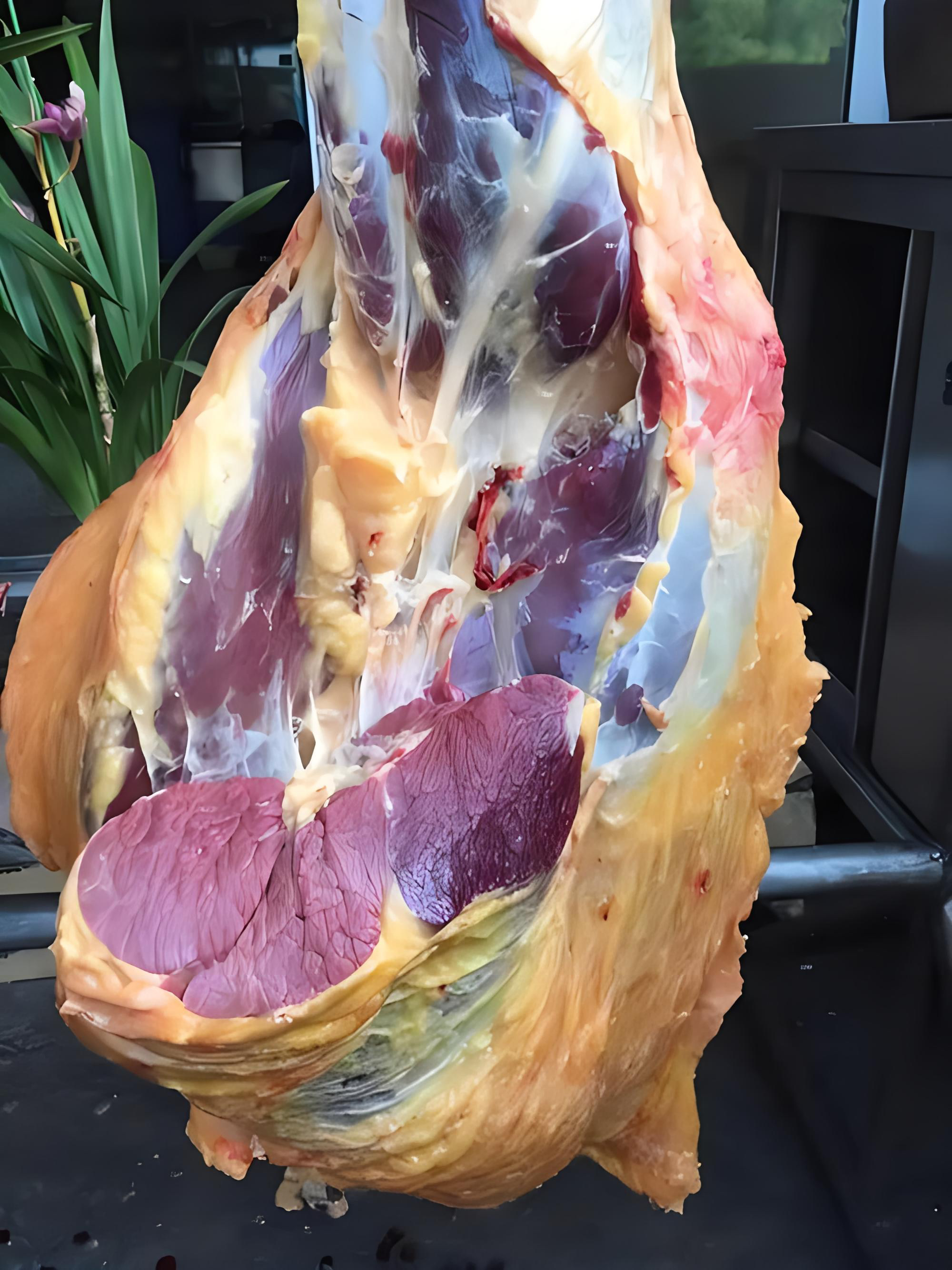 重庆云阳土黄牛肉现称