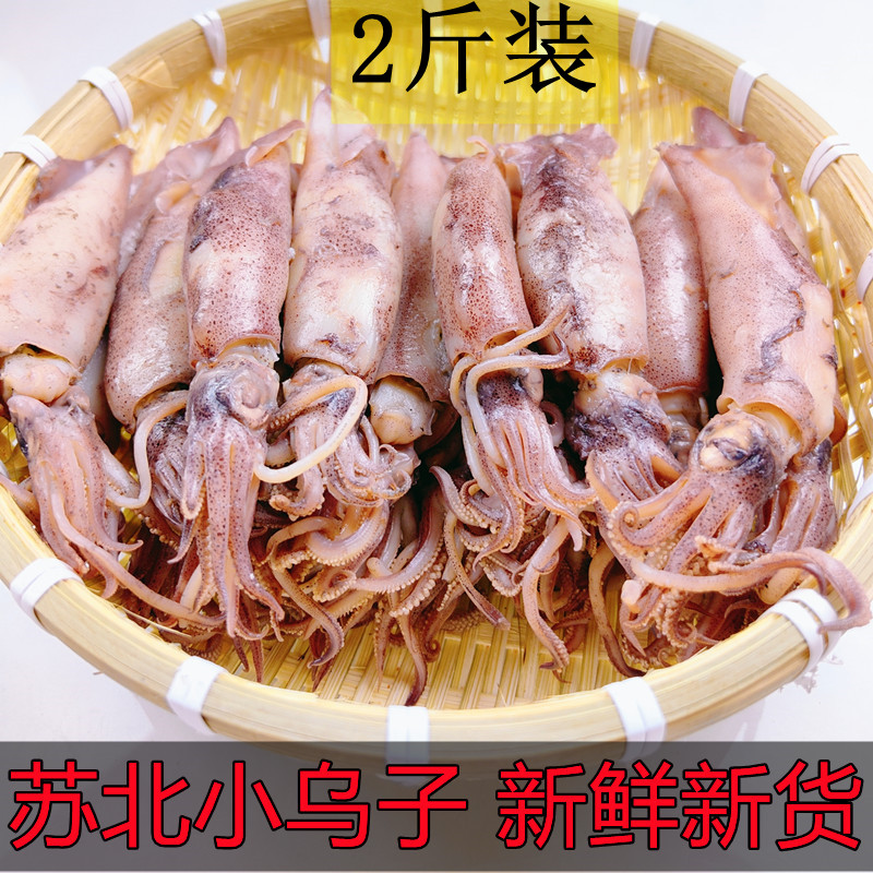 【大号新货】苏北小乌子干货乌贼鱼墨鱼仔半干野生海兔管鱼海鲜包邮