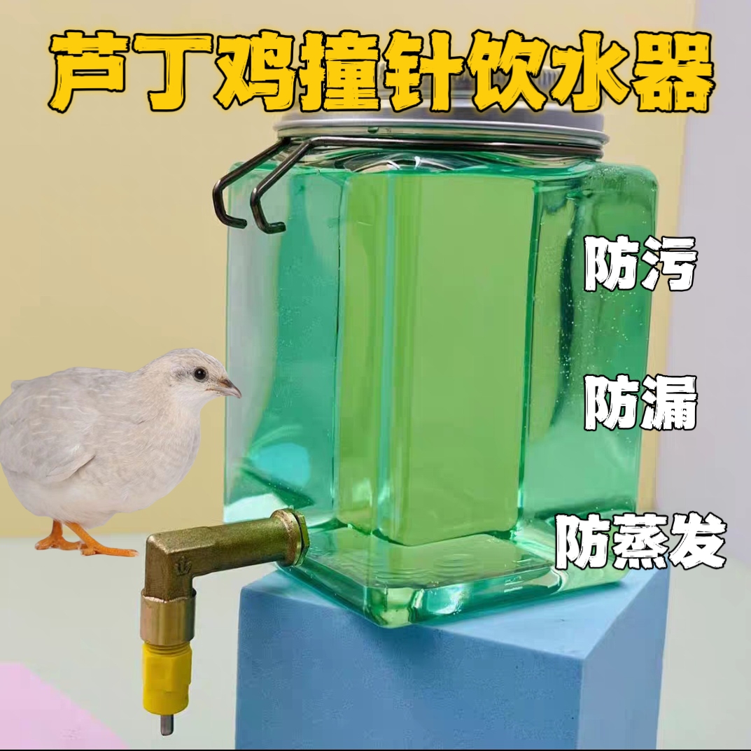 芦丁鸡撞针饮水器鹦鹉鸟用喝水杯宠物鸡喂水壶自动大容量水瓶一
