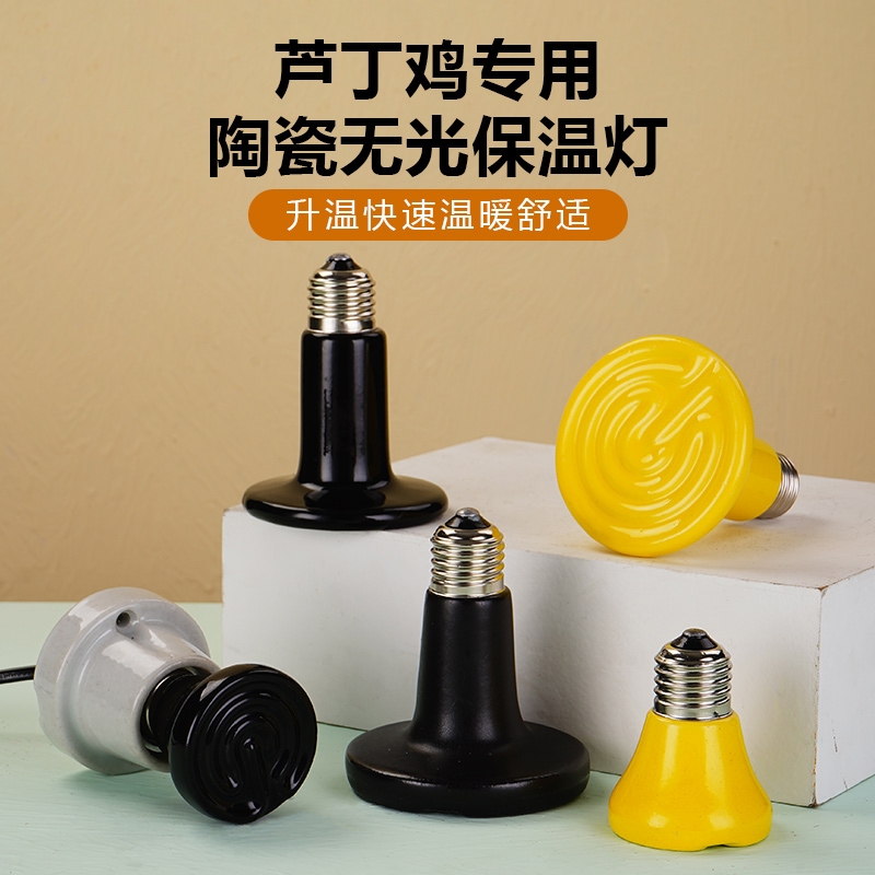 陶瓷加热灯无光灯芦丁鸡爬宠取暖灯泡宠物蜥蜴晒背鹦鹉保温灯