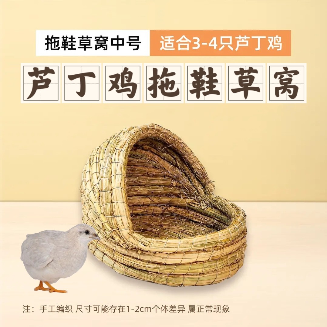 草窝芦丁鸡拖鞋草窝下蛋窝草编拖鞋窝圆通草窝拖鞋草窝