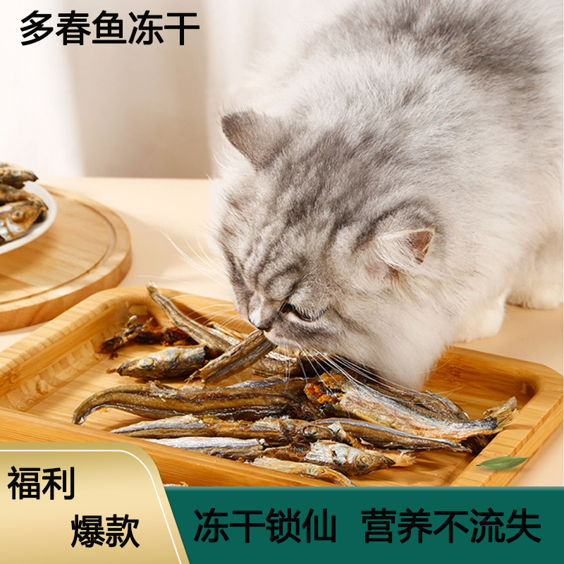 冻干猫零食多春鱼小鱼干猫咪营养增肥发腮补钙成猫幼猫猫零食猫粮