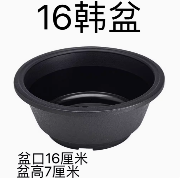 10个盆韩盆多肉盆口径16cm高7cm室内室外