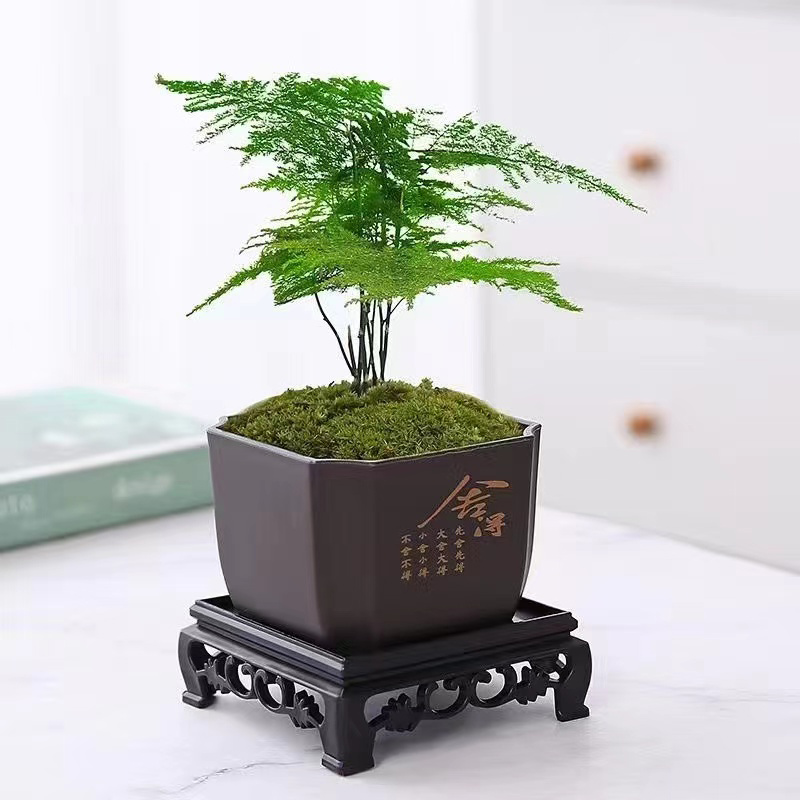 仿紫砂盆2个盆送底托 口径9.5左右高度6.7左右桌摆方盆透气简约